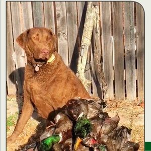 Meet your Posher, James